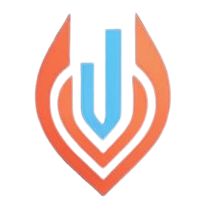Flexson Logo